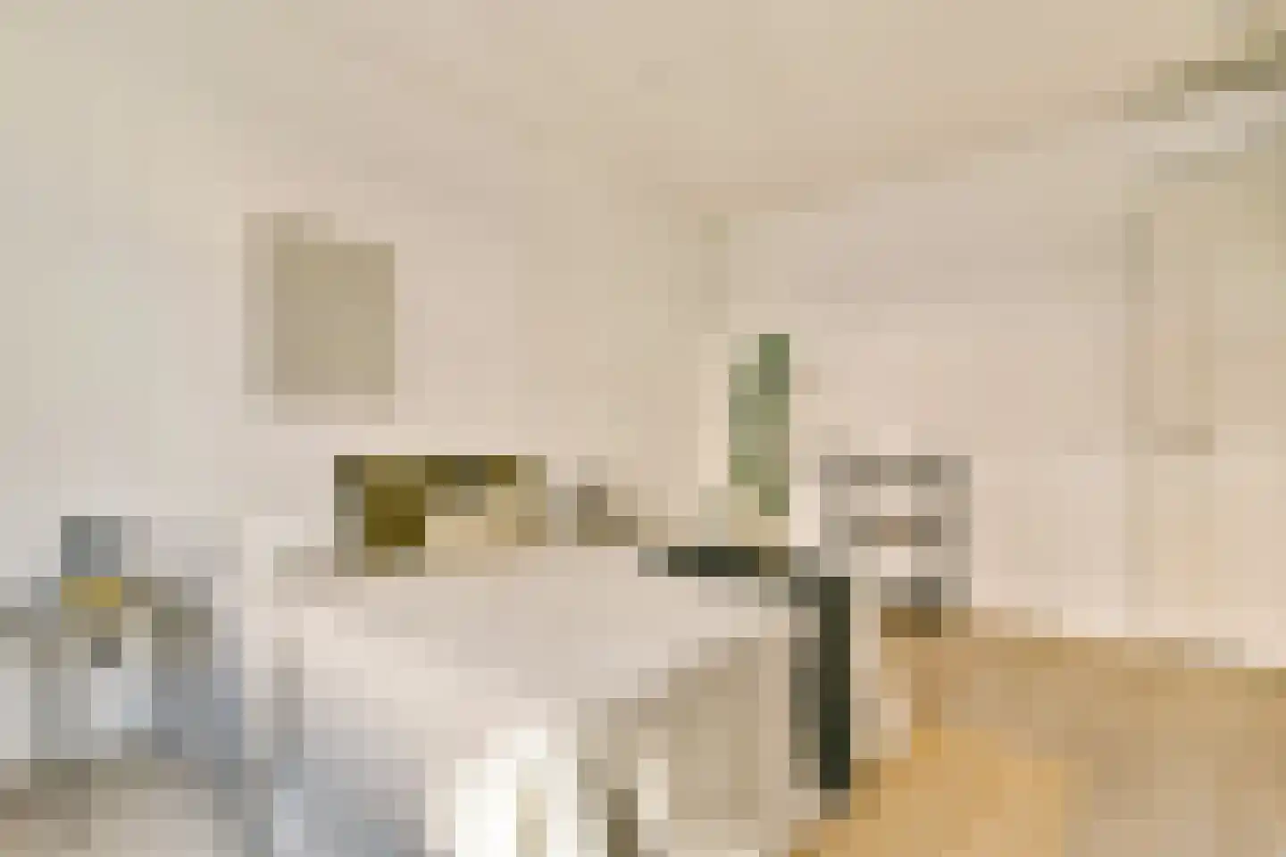 Krammerstraat 21 1 Amsterdam thumbnail 18