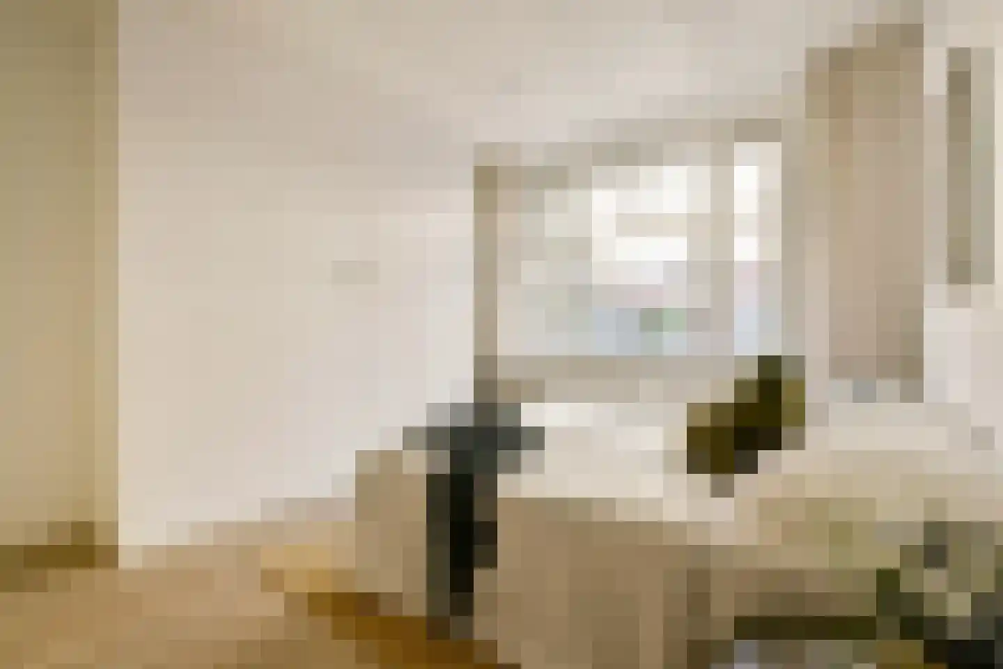 Krammerstraat 21 1 Amsterdam thumbnail 19