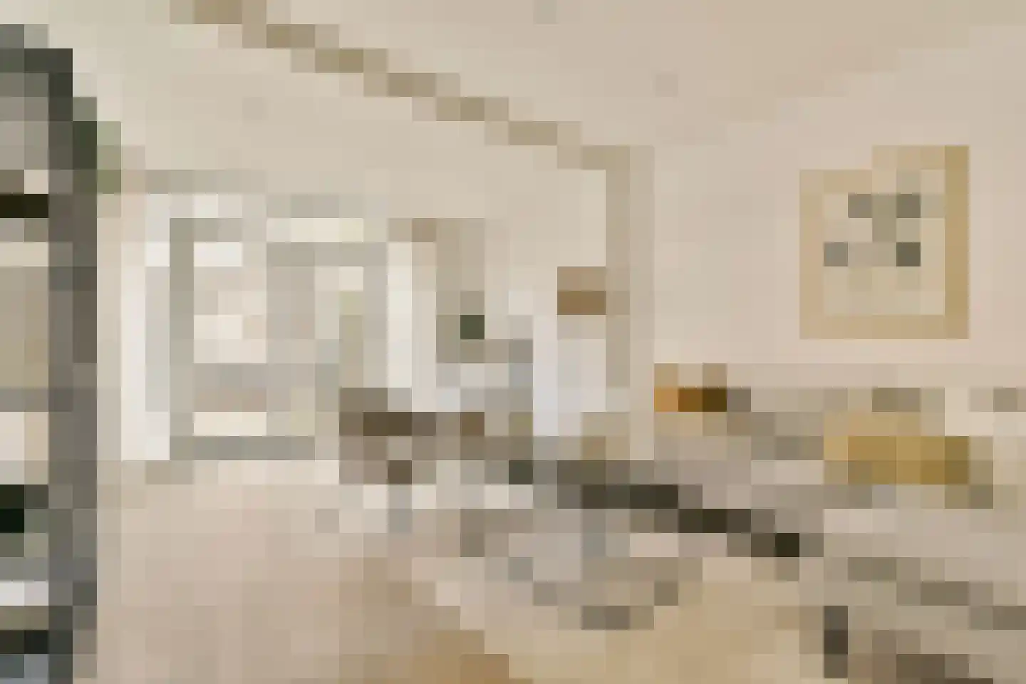 Krammerstraat 21 1 Amsterdam thumbnail 8