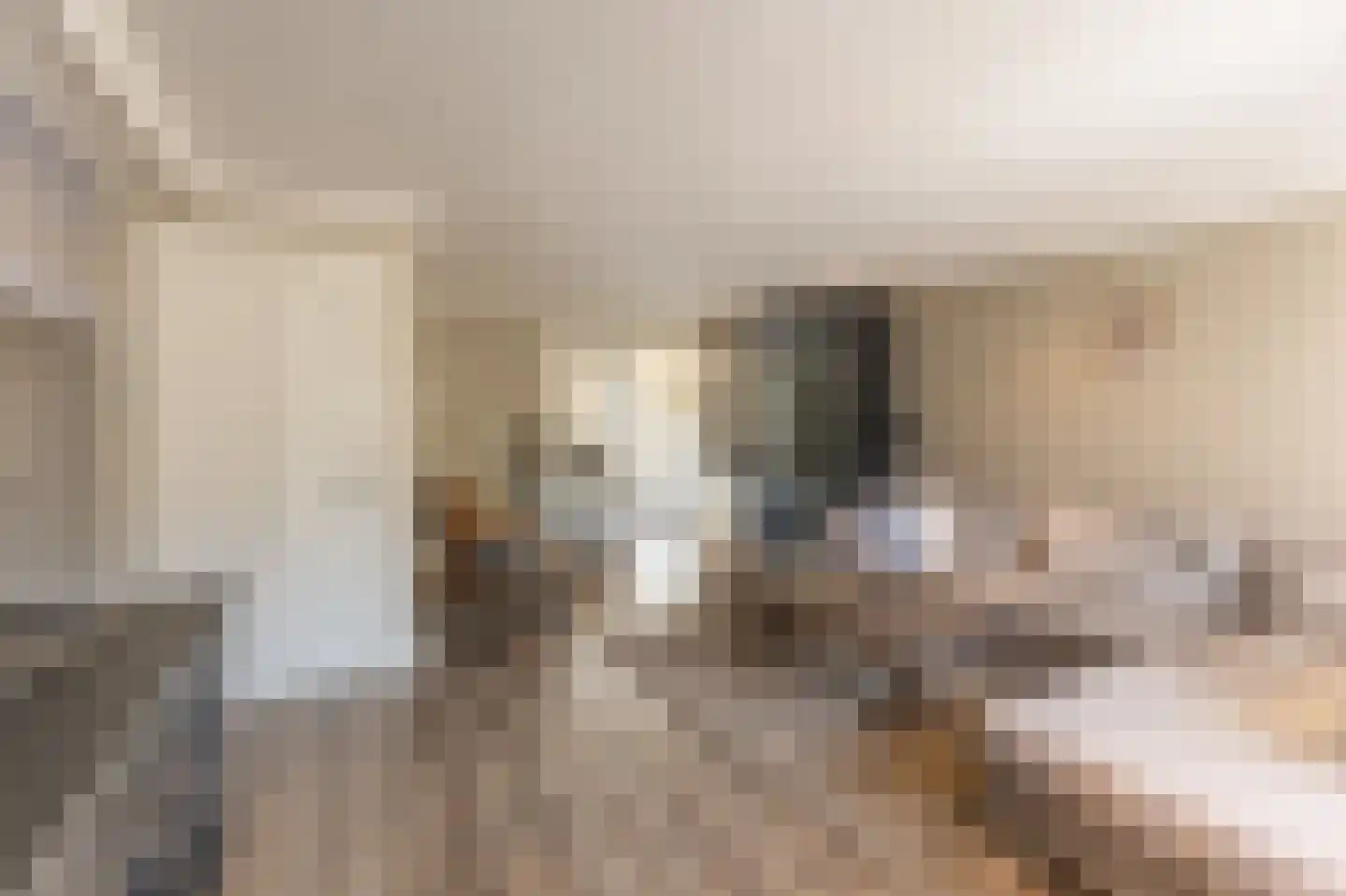 Krammerstraat 8 Sint Philipsland thumbnail 11