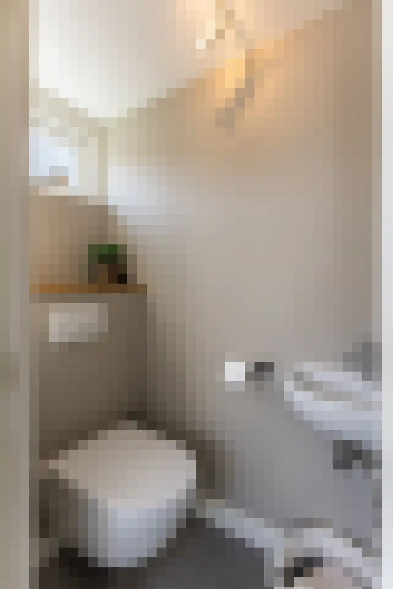 Krammerstraat 8 Sint Philipsland thumbnail 18