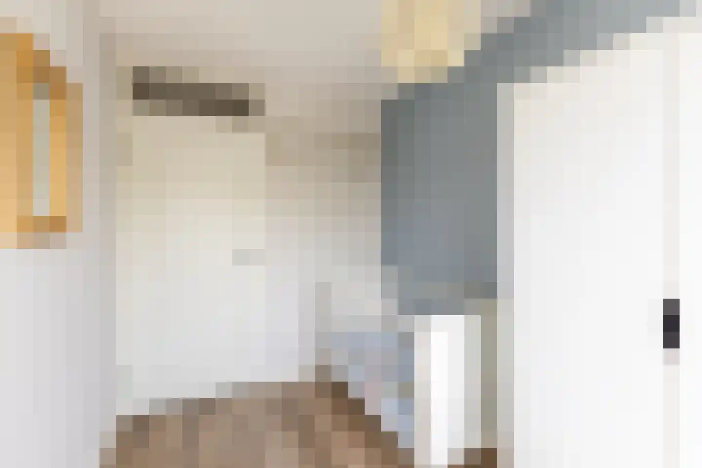 Krammerstraat 8 Sint Philipsland thumbnail 22