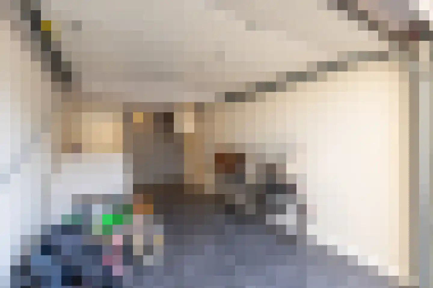 Krammerstraat 8 Sint Philipsland thumbnail 38