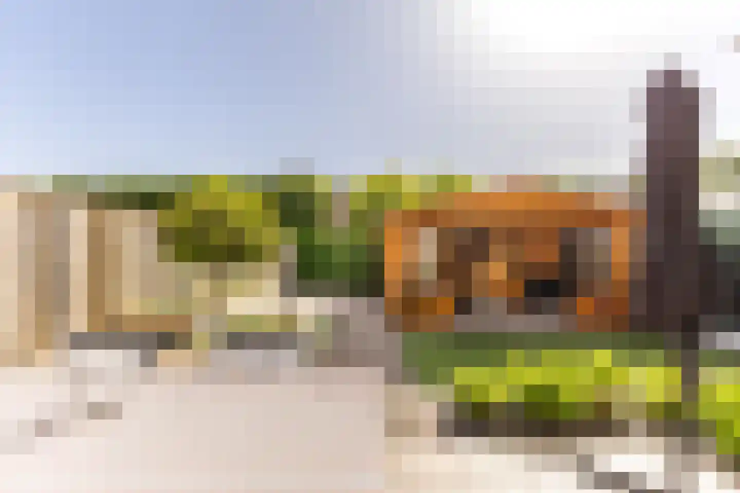 Krammerstraat 8 Sint Philipsland thumbnail 4