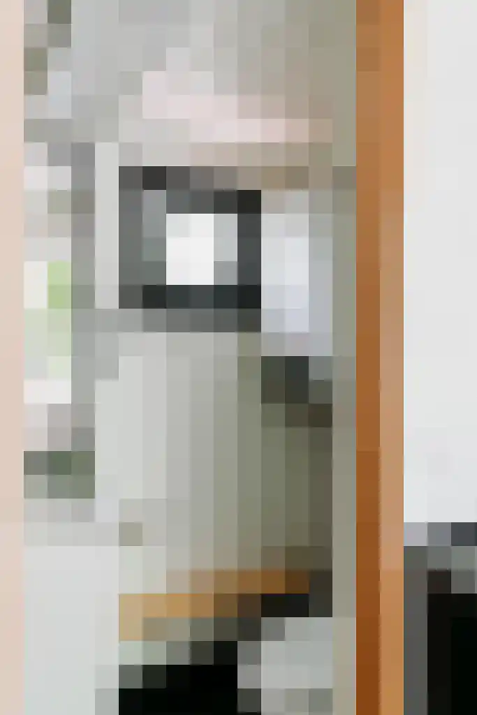 Krampvenseweg 4 Diessen thumbnail 19