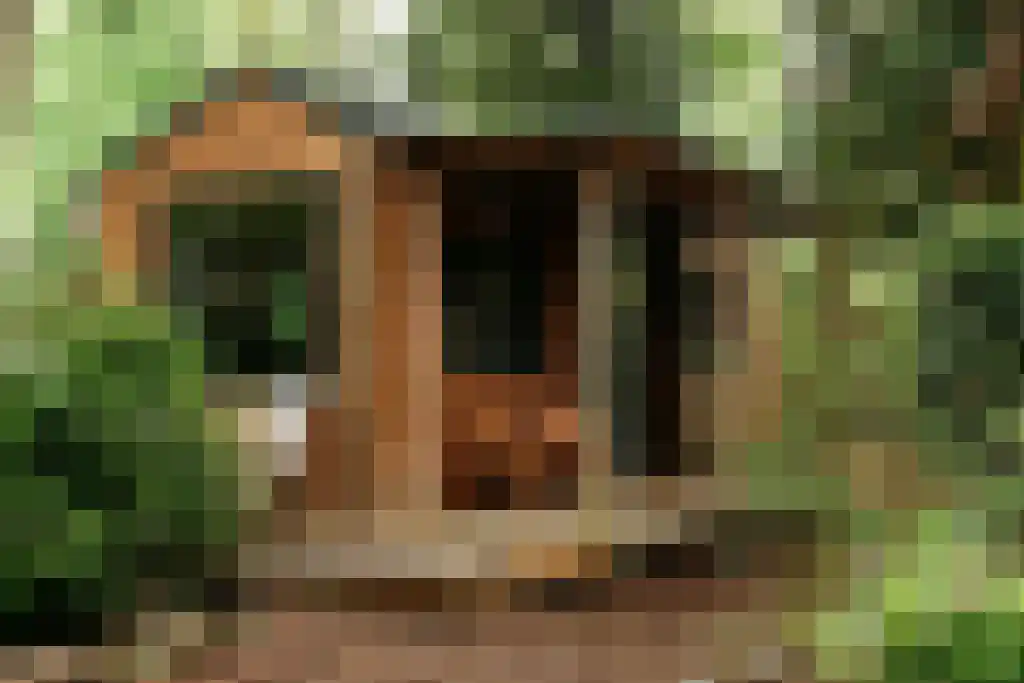 Krampvenseweg 4 Diessen thumbnail 20