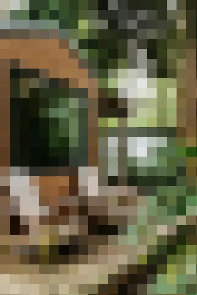 Krampvenseweg 4 Diessen thumbnail 21