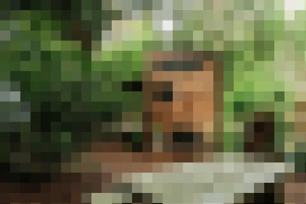 Krampvenseweg 4 Diessen thumbnail 23