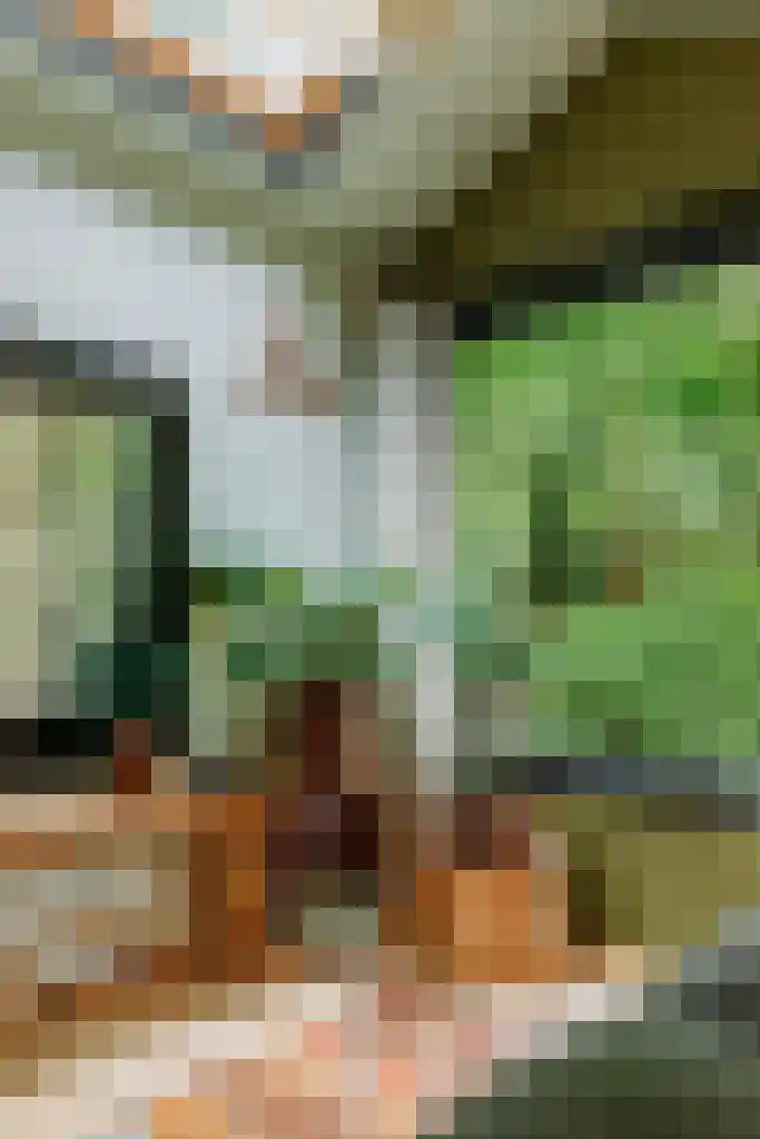 Krampvenseweg 4 Diessen thumbnail 4