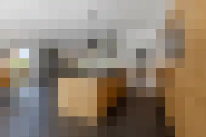 Kramsvogel 22 Hardinxveld-Giessendam thumbnail 10