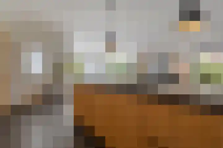 Kramsvogel 22 Hardinxveld-Giessendam thumbnail 12