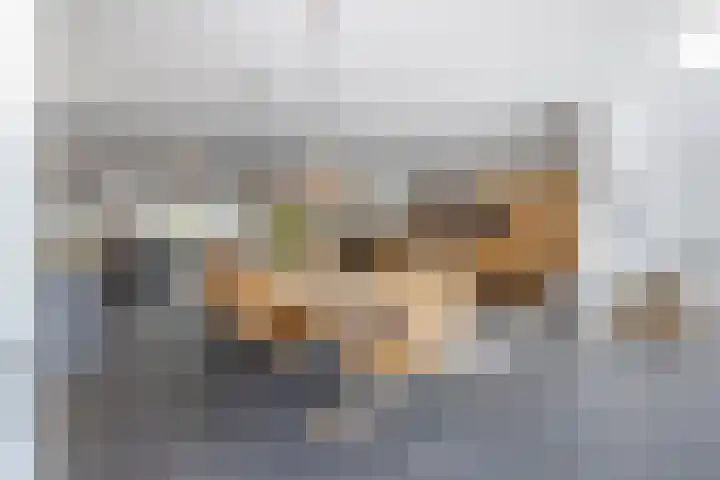 Kramsvogel 22 Hardinxveld-Giessendam thumbnail 14