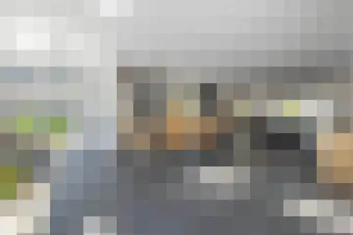 Kramsvogel 22 Hardinxveld-Giessendam thumbnail 16