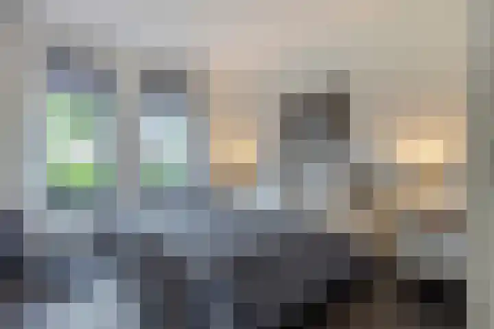 Kramsvogel 22 Hardinxveld-Giessendam thumbnail 20