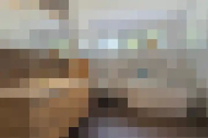 Kramsvogel 22 Hardinxveld-Giessendam thumbnail 21