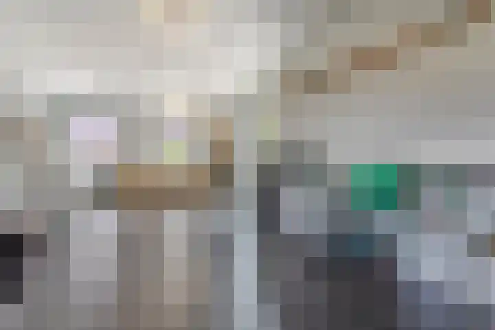 Kramsvogel 22 Hardinxveld-Giessendam thumbnail 26