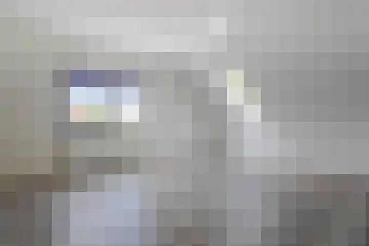 Kramsvogel 22 Hardinxveld-Giessendam thumbnail 30