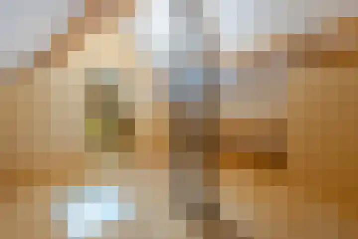 Kramsvogel 22 Hardinxveld-Giessendam thumbnail 35