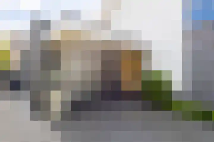 Kramsvogel 22 Hardinxveld-Giessendam thumbnail 36