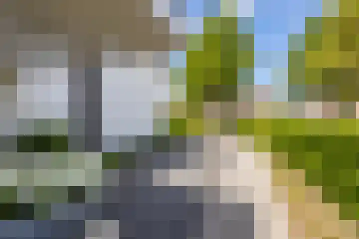 Kramsvogel 22 Hardinxveld-Giessendam thumbnail 37