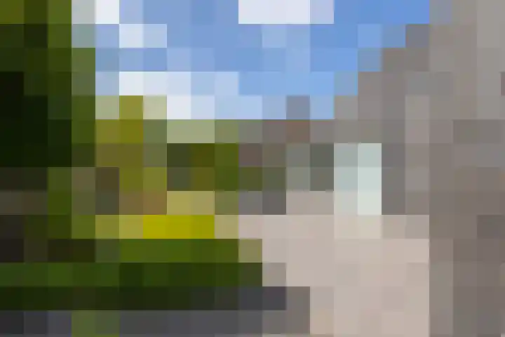 Kramsvogel 22 Hardinxveld-Giessendam thumbnail 39