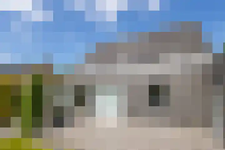 Kramsvogel 22 Hardinxveld-Giessendam thumbnail 40
