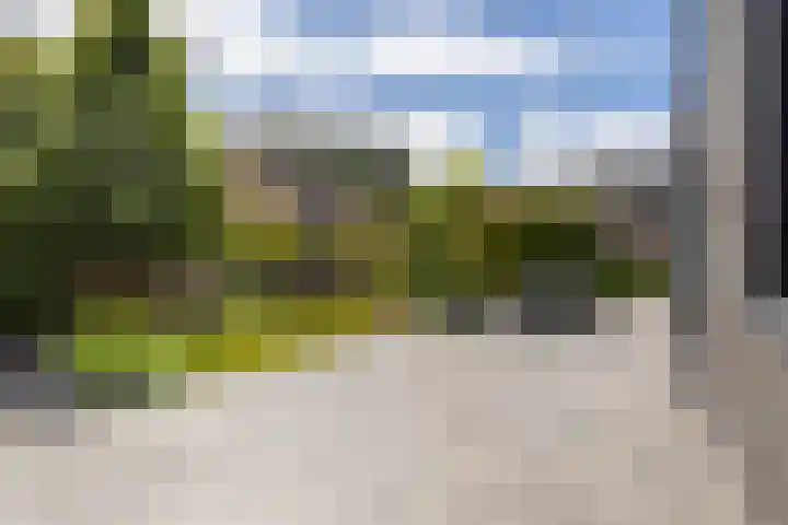 Kramsvogel 22 Hardinxveld-Giessendam thumbnail 41