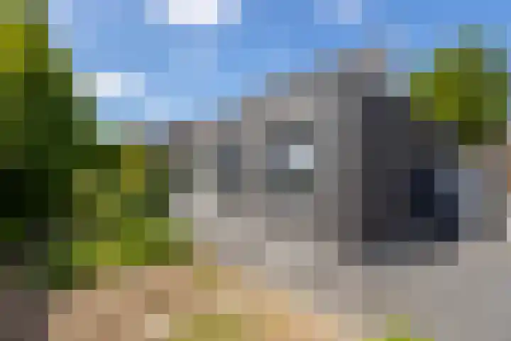 Kramsvogel 22 Hardinxveld-Giessendam thumbnail 42