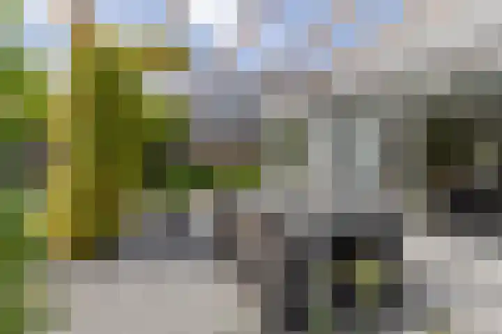 Kramsvogel 22 Hardinxveld-Giessendam thumbnail 43