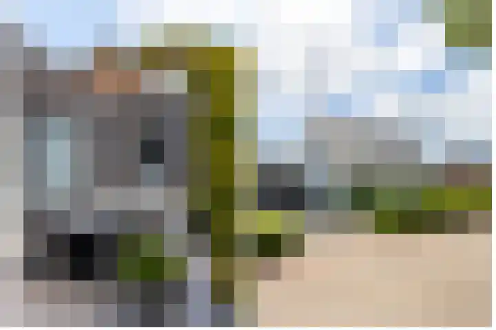 Kramsvogel 22 Hardinxveld-Giessendam thumbnail 45
