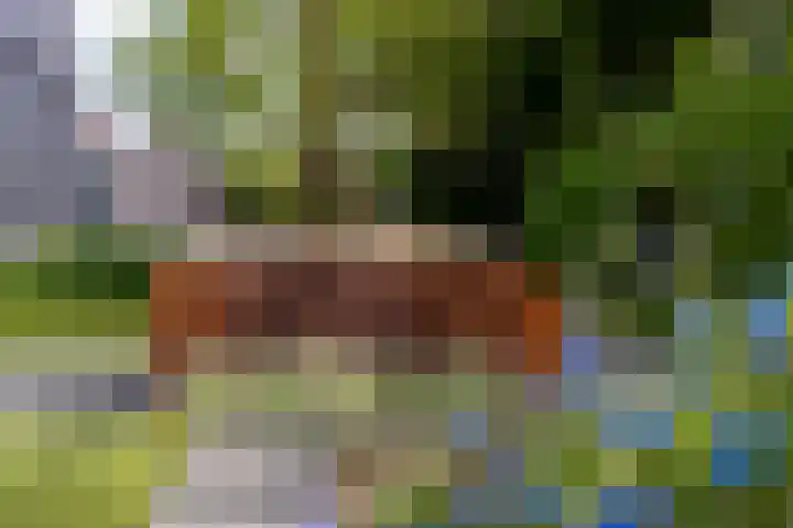 Kramsvogel 22 Hardinxveld-Giessendam thumbnail 46