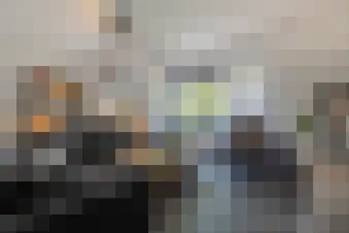 Kramsvogel 22 Hardinxveld-Giessendam thumbnail 5