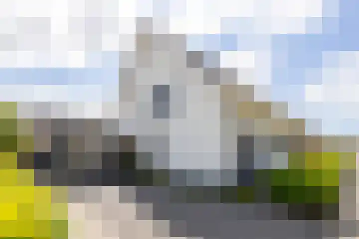 Kramsvogel 22 Hardinxveld-Giessendam thumbnail 53
