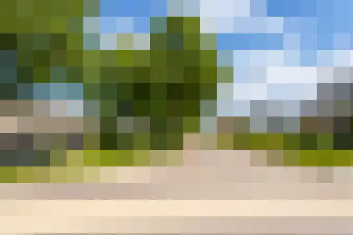 Kramsvogel 22 Hardinxveld-Giessendam thumbnail 55