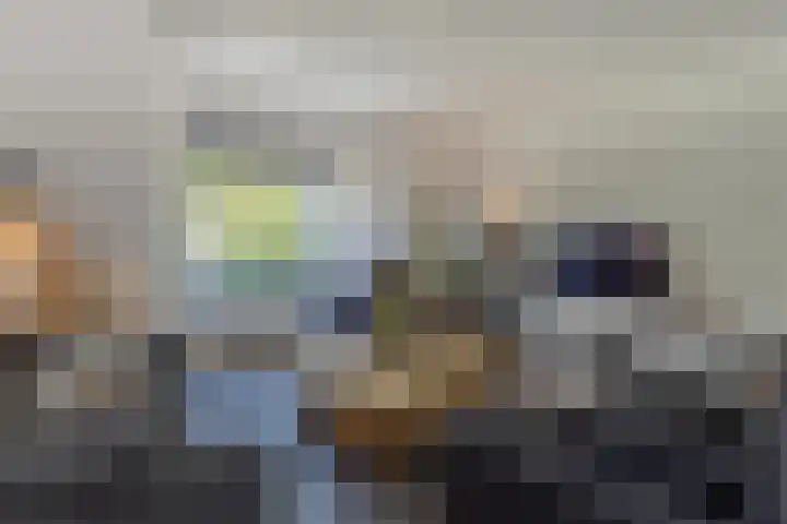Kramsvogel 22 Hardinxveld-Giessendam thumbnail 6