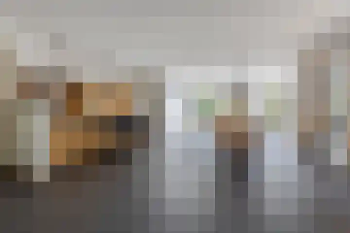Kramsvogel 22 Hardinxveld-Giessendam thumbnail 7