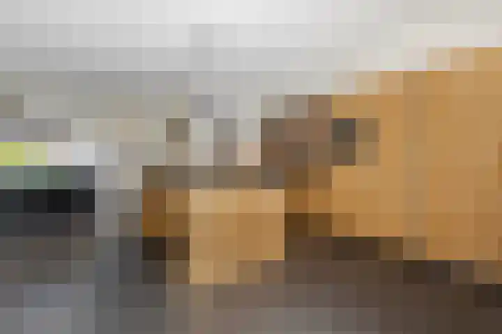 Kramsvogel 22 Hardinxveld-Giessendam thumbnail 9