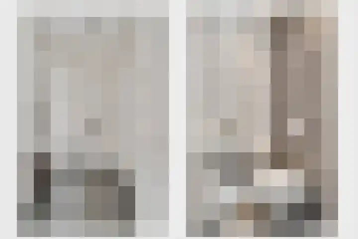 Kramsvogel 29 Eijsden thumbnail 11