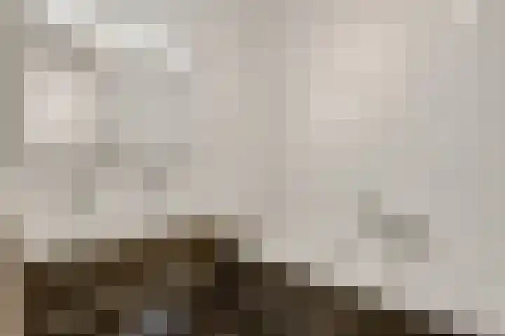 Kramsvogel 29 Eijsden thumbnail 15