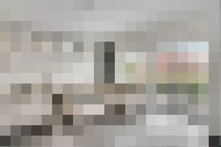 Kramsvogel 29 Eijsden foto 2