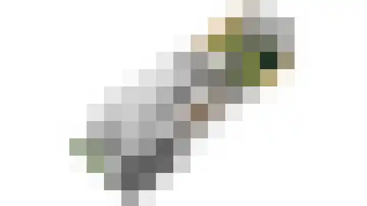 Kramsvogel 29 Eijsden thumbnail 23