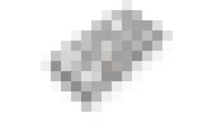 Kramsvogel 29 Eijsden thumbnail 27