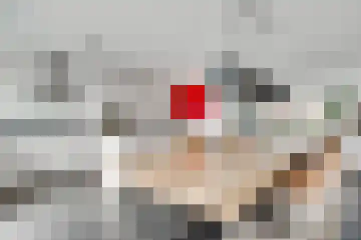 Kramsvogel 29 Eijsden foto 3