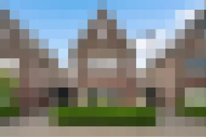 Kramsvogel 29 Eijsden thumbnail 32