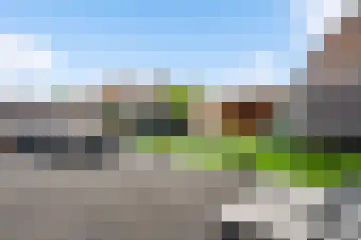 Kramsvogel 29 Eijsden thumbnail 4