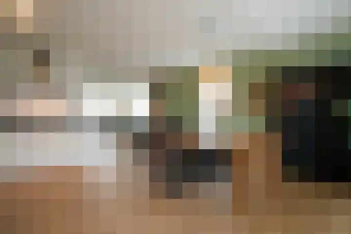 Kramsvogel 33 Eijsden thumbnail 13