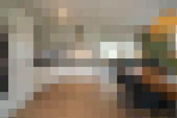 Kramsvogel 33 Eijsden thumbnail 15