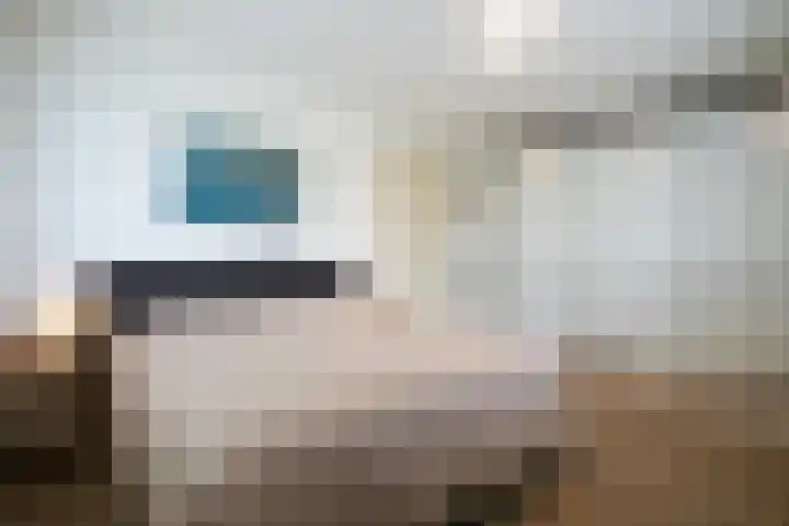 Kramsvogel 33 Eijsden thumbnail 20