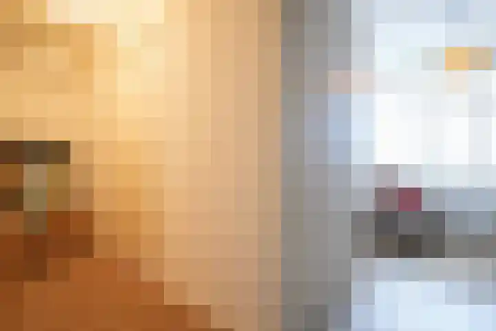 Kramsvogel 33 Eijsden thumbnail 22