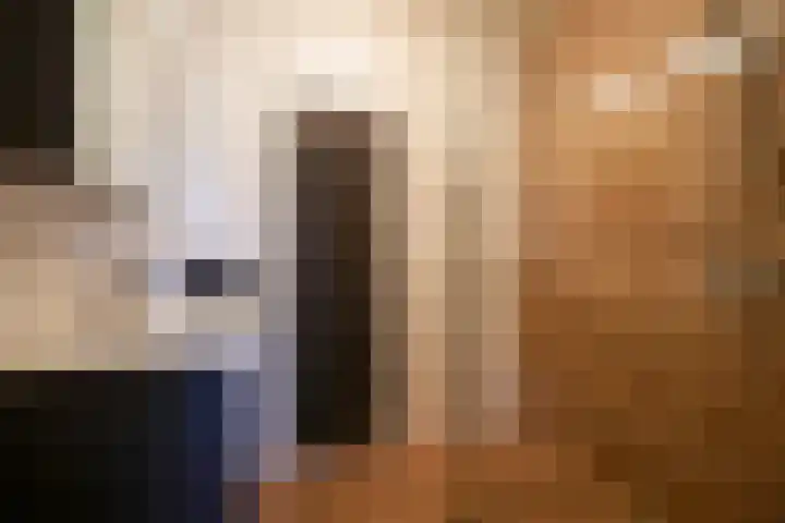 Kramsvogel 33 Eijsden thumbnail 25